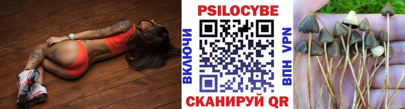 наркота  Новосокольники  Псилоцибиновые грибы Cubensis 