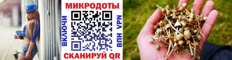 Псилоцибиновые грибы прущие грибы Новосокольники